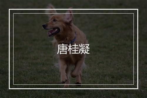 唐桂凝