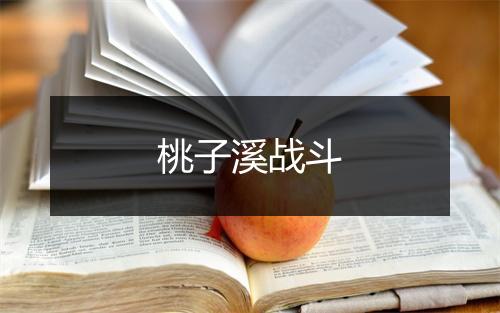 桃子溪战斗