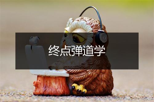 终点弹道学