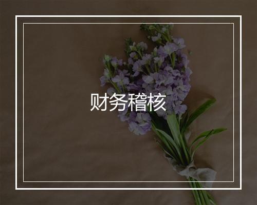 财务稽核