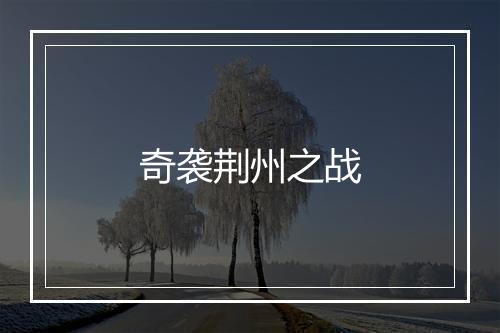 奇袭荆州之战