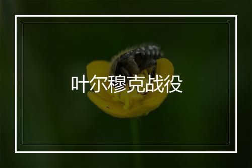 叶尔穆克战役