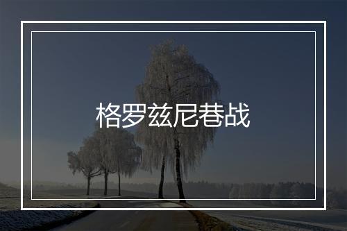 格罗兹尼巷战