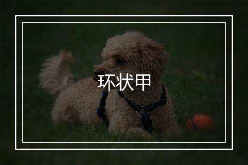 环状甲