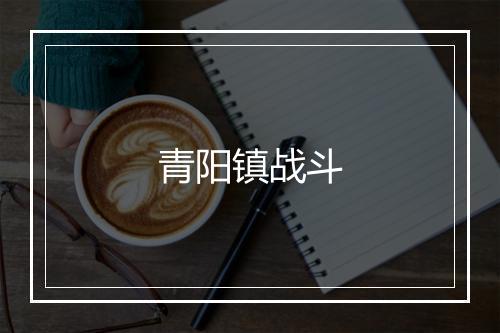 青阳镇战斗