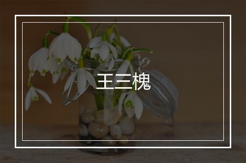 王三槐