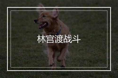 林宫渡战斗