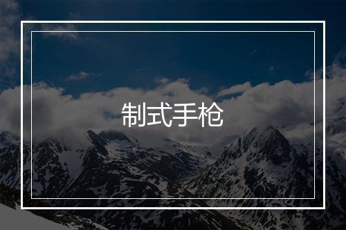 制式手枪