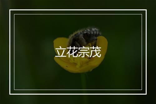 立花宗茂