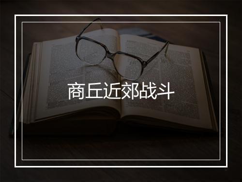 商丘近郊战斗