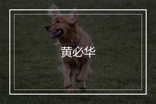 黄必华