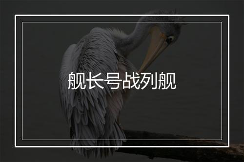 舰长号战列舰