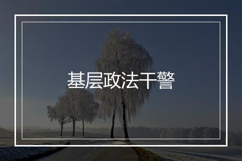 基层政法干警