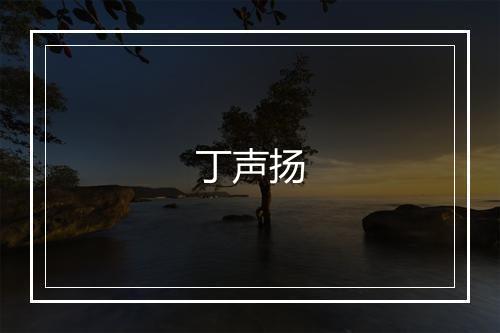 丁声扬