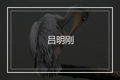 吕明刚