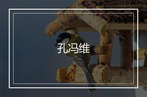 孔冯维