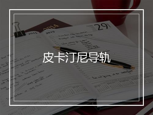 皮卡汀尼导轨