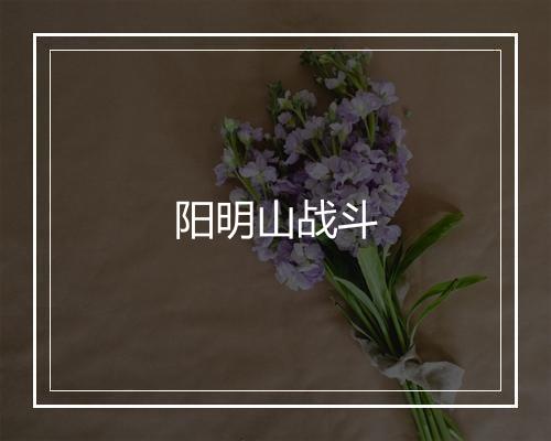 阳明山战斗