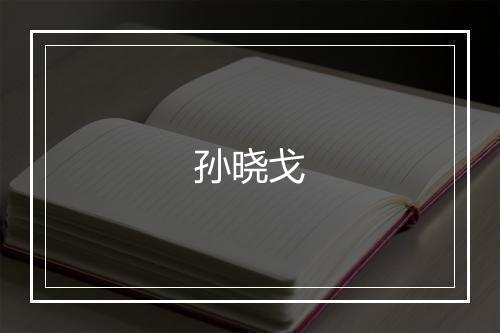 孙晓戈