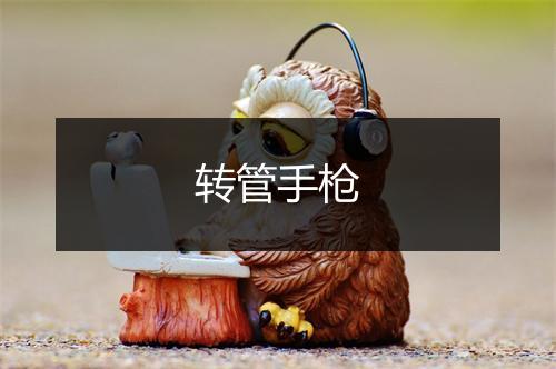 转管手枪