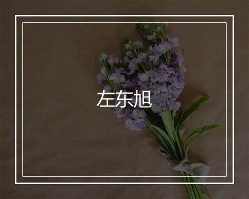 左东旭