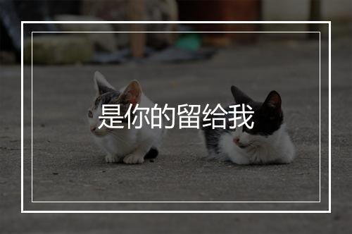 是你的留给我