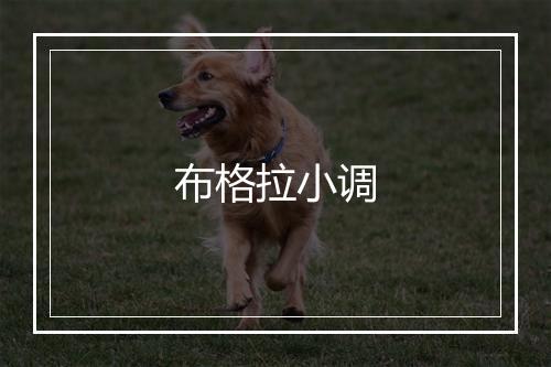 布格拉小调