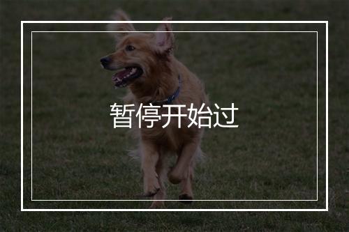 暂停开始过