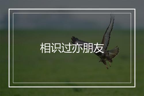 相识过亦朋友