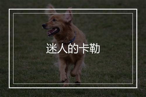 迷人的卡勒