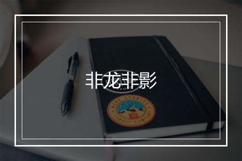 非龙非影