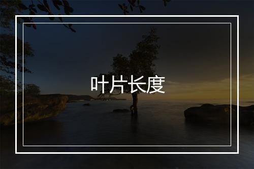 叶片长度