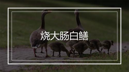 烧大肠白鳝