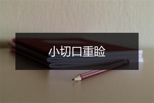 小切口重睑