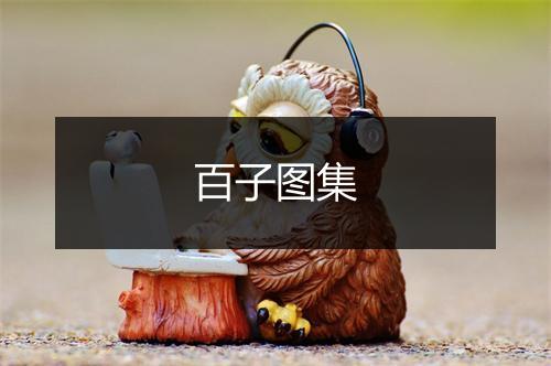 百子图集