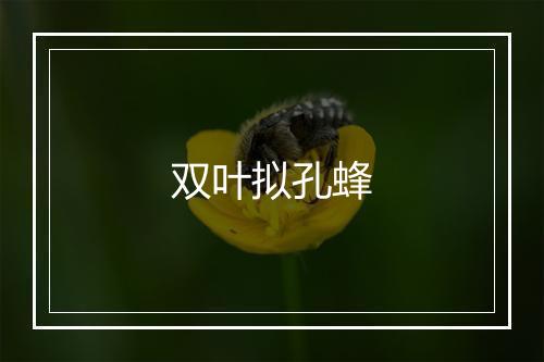 双叶拟孔蜂