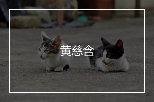 黄慈含