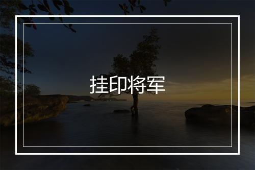 挂印将军