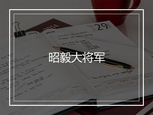 昭毅大将军