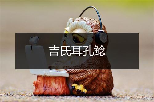 吉氏耳孔鲶