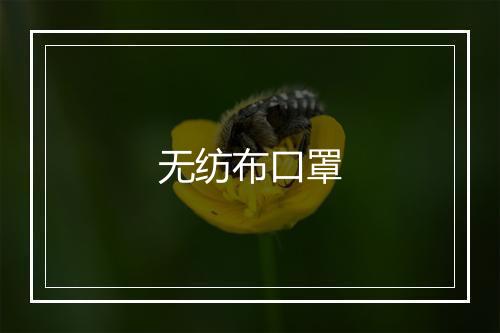 无纺布口罩