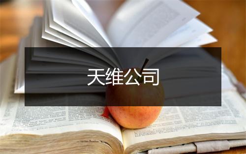 天维公司