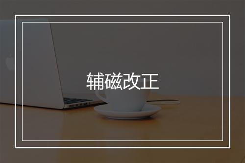 辅磁改正