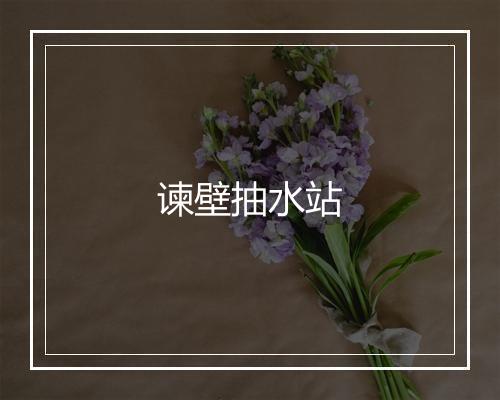 谏壁抽水站