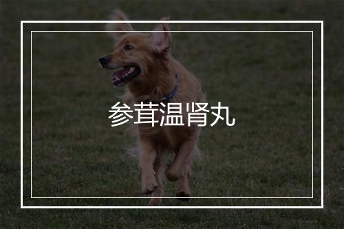 参茸温肾丸