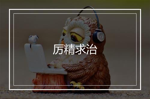 厉精求治