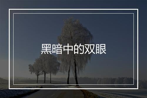 黑暗中的双眼