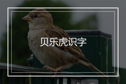 贝乐虎识字