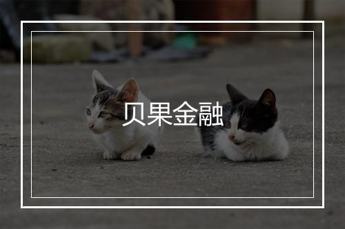 贝果金融