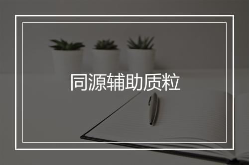 同源辅助质粒